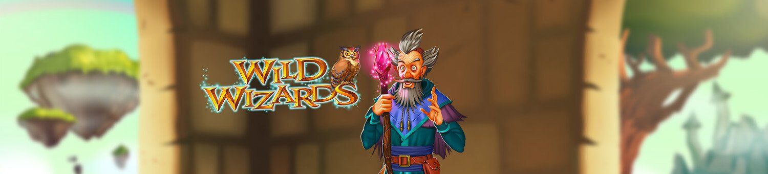 WildWizards_GS